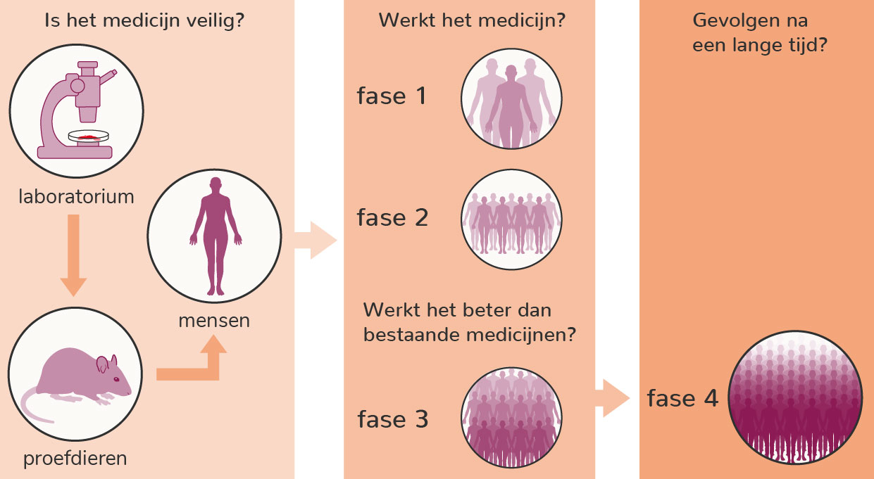 De reis van een goed idee naar een echte behandeling gaat in stappen. Dit zijn de stappen voor een nieuw medicijn, en ook bijvoorbeeld voor een nieuwe soort insuline.