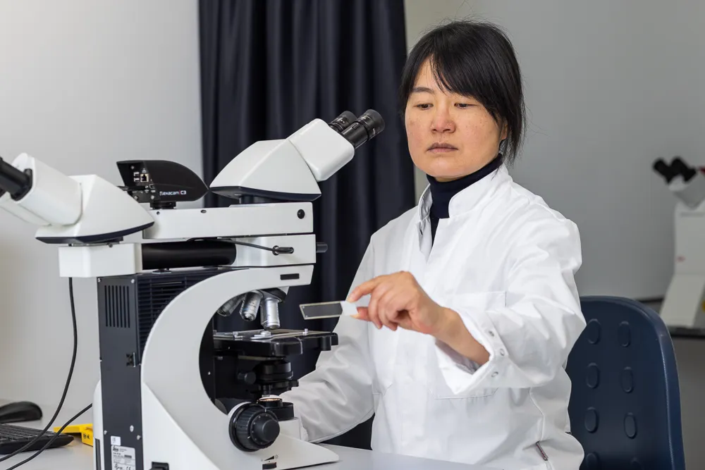 Veel onderzoek voor diabetes vindt plaats in een laboratorium