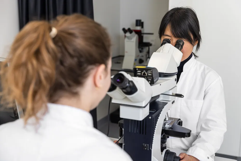 Veel onderzoek naar diabetes wordt in laboratoria in ziekenhuizen of universiteiten gedaan.