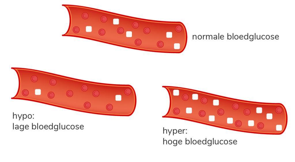 Bij een hyper zit er te veel glucose in je bloed. Bij een hypo te weinig. 