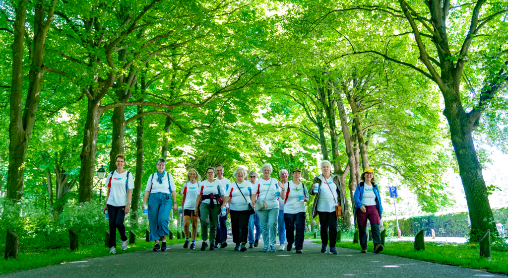 Nationale Diabetes Challenge wandelgroep